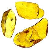 [N2 stone Natural] 天然化石 虫入り琥珀 (アンバー/Baltic Amber with Insect) | (3個セット)