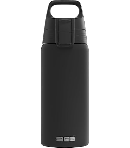 Amazon.co.jp: SIGG ステンレス フードジャー 0.5L ジェムストーン