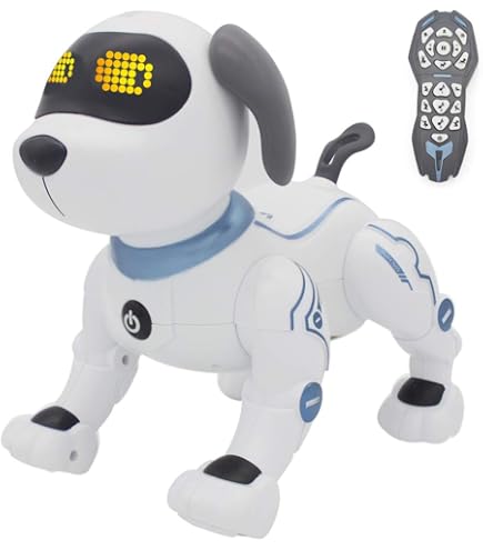 Robo