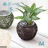 麻ボールMの鉢 茶(内鉢付)(φ10×H6.5cm)(ハイドロ苗6φに対応)