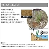 グローベン　ナチュラルストリームガーデン用追加オプション　パームシートキット　（小）　C30TP051