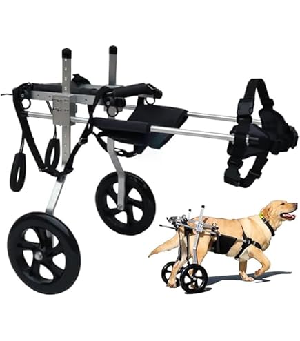 Amazon.co.jp: 調節可能な車輪犬の車椅子、障害のあるペットは犬が歩く