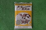 ホーム速硬セメント 2kg