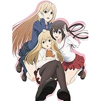 Amazon.co.jp: みなみけ~おかわり~Blu-ray BOX : 佐藤利奈, 井上麻里奈