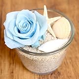A plus floral art プリザーブドフラワー 貝殻 ミニアレンジ