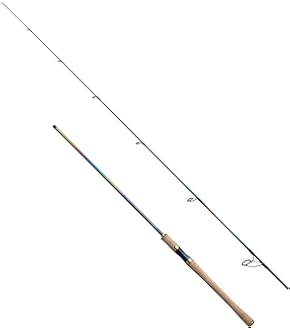 Amazon | 【シマノ純正】22ステラ 純正スペアスプール (22STELLA
