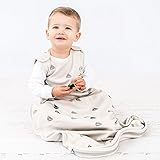 Woolino(ウーリノ) メリノウール＆オーガニックコットン スリーピングバッグ 2ヶ月～2歳用 (ボート)