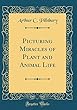 Picturing Miracles of Plant and Animal Life (Classic Reprint)