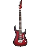 Amazon.co.jp: Ibanez(アイバニーズ) GIOシリーズ エレキギター ダブル
