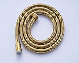Senlesen Modren 59'' Handheld Shower Hose Gold Finish [並行輸入品]