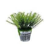 VORCOOL 人工観葉植物　造花　鉢　人工フェイク　ミニ　光触媒　置物　ホームオフィスインテリア　テーブル窓デコレーション　装飾　雑貨　鉢植え　枯れない　Patrinia