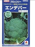 エンデバーＳＰ タキイ種苗のブロッコリー種です