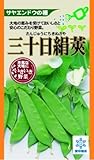 きぬさやエンドウ 種 【 三十日絹莢 】 種子 小袋（約３０ｍｌ）