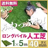 リアル人工芝　ナチュラルターフ(マット・シート・ロールタイプ) 幅(約)１ｍ×長さ(約)５ｍ