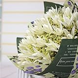 プリザーブドフラワー フレームアレンジ インテリアグリーンロング 特殊加工を施した『本物の花』
