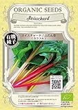 スイス チャード / ふだん草 / カラフル / 有機 種子 固定種 / グリーンフィールド / 葉菜 [小袋]