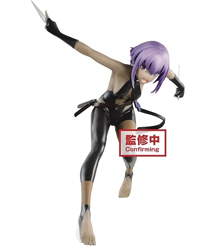 Amazon | Fate/Grand Order アサシン/静謐のハサン 1/7スケール PVC製
