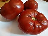 Appetitnyyピンクトマト種子 - 食欲をそそるウクライナ家宝NON-GMO