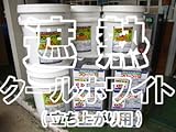 東日本塗料 フローン12クールホワイト 立ち上がり用 18kgセット