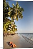 Jordan Banksプレミアムシックラップキャンバス壁アート印刷題名パナマ、Bocas del Toro、コロン島、Starfish On The Beach、ヒトデビーチ 20" x 30" 2