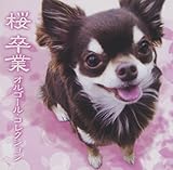 ��/���� �I���S�[���E�R���N�V����