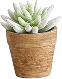 アビテ 造花 観葉植物 グリーンポット・L-フロスティセデベリア IL-116-AA