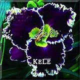 New Arrival 100 Seeds/Bag Hibiscus flower seed DIY home garden or potted plants easy to grow flowers