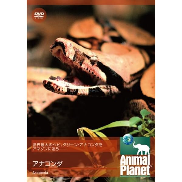 Amazon Co Jp アニマルプラネット アナコンダ Dvd Dvd ブルーレイ ドキュメンタリー
