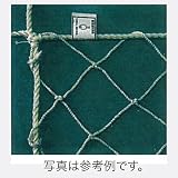 【4枚】 鉄骨 用 安全ネット (標準品) 　3.2φ ×網目100mm　5ｍ×10ｍ ポリエステル 白 アミD
