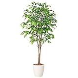 プラス　記載台　AKシリーズ　人工樹木　ベンジャミナスプラッシュトリプル　NO123J