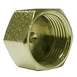 Watts LFA-305 Compression Cap, 5/8-Inch [並行輸入品]