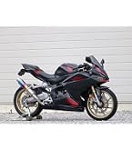 Amazon | AKRAPOVIC(アクラポヴィッチ) マフラー レーシングライン