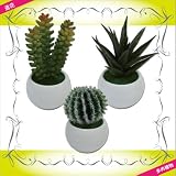 造花 フェイクグリーン 多肉植物 3個セット 白C サボテン グリーンプラント インテリアグリーン
