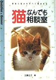 猫なんでも相談室 (Question & Answer)