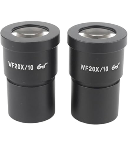Amazon | 顕微鏡アクセサリーキット 2 2ヘッドマウント照明顕微鏡伸縮型拡大鏡メガネ 導いた光8x/15x/23x 顕微鏡スライド |  顕微鏡レンズ 顕微鏡アクセサリーキット 20.4 ミリメートル光学接眼レンズレチクル顕微鏡接眼マイクロメータースライド CX22 CX31 CX4