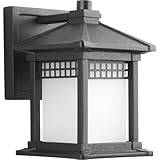 Progress Lighting P6000-31 Merit Collection 1-Light Wall Lantern, Black [並行輸入品]