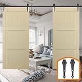 HomeDeco Hardware レール金具セット スライドドア アウトセット引戸 玄関 7.5 FT (2.30メートル)