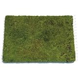 コケ・山苔(やまごけ ネットマット) 緑の絨毯 8枚セット 植木 庭木 苗木