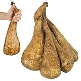 国華園　山いも種芋　短形じねんじょ　15個【※発送が国華園からの場合のみ正規品です】