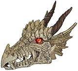 Penn-Plax RR1207 Dragon Skull Gazer Ornament by Penn-Plax