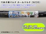 1本あたり630円！ 穴あき黒マルチ ホールマルチ [9235] 0.02mm×95cm×50m [穴径60mm×2条×株間35cm×条間45cm] （10本入）