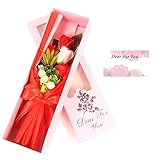 fleurmelody 母の日 フラワーギフト ソープフラワー 光触媒 バラ５本 花束 アレンジメント So-5 (赤)