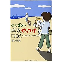 柴太郎さん専用 柴犬ゴンの病気やっつけ日記 | 影山 直美 |本 | 通販 | Amazon