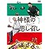神様の思し召し（DVD）