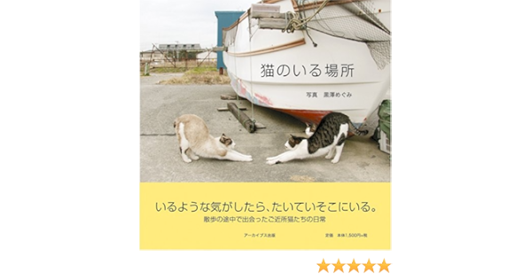 猫のいる場所 黒澤 めぐみ 本 通販 Amazon