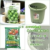 《休売》イタリア野菜の種 芽キャベツを育てよう たのしい栽培セット 家庭菜園