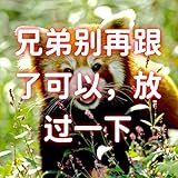 [ULPUDFAO] バックパック リュック トートバッグ ショルダー 手提げ 3WAYトート 折りたたみ可能 多機能 トートリュック メンズ キャリーバック レディース おしゃれ 防水 大容量 ナイロン素材 (ネイビー) [並行輸入品]