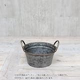 ガレージポット　BOWL 【新価格】 Mサイズ 【2点】