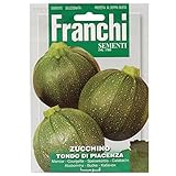 野菜の種 丸ズッキーニ TONDO DI PIACENZA 146/17
