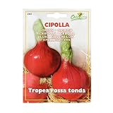 野菜の種 オニオン・ロッサトンダ